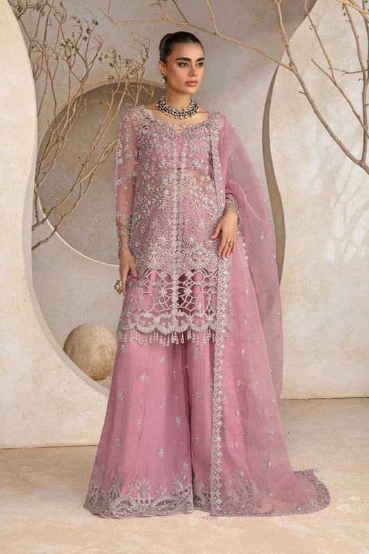 Rang Rasiya Luxury Wedding Festive Organza Embroidered Collection NATASHA D-05