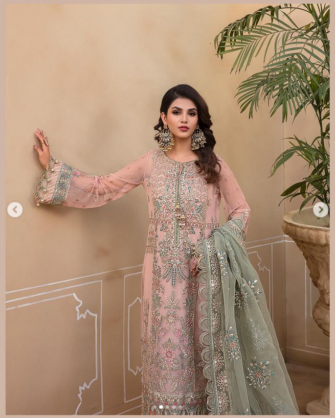 Maria.B Embroidered Net Suits Unstitched 3 Piece MB D7 - Luxury Collection