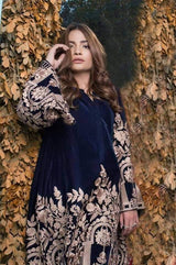 Agha Noor Velvet Collection 3 Pieces Unstitched AG-3143 Luxury Collection